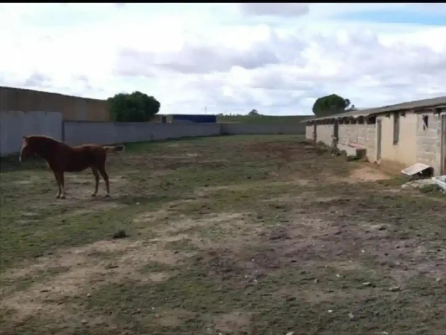 Finca rústica en venta en Cañizo