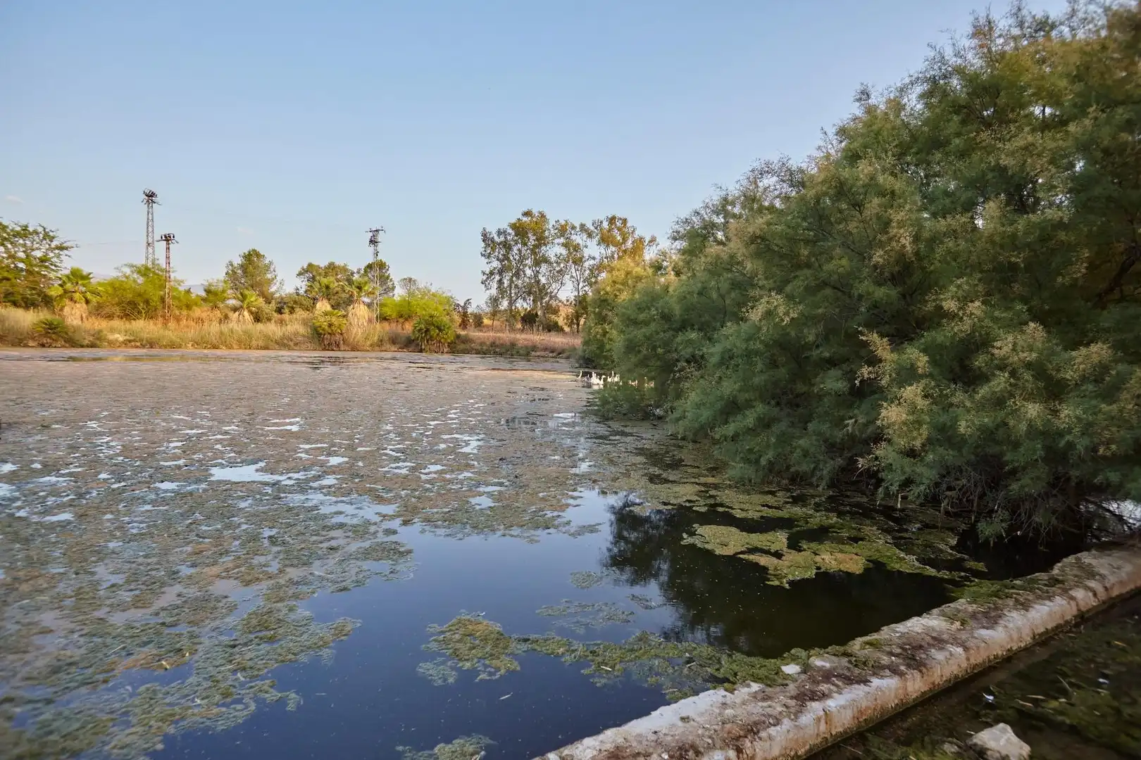 Vista exterior de Finca rústica en venta en Jaén con Aire acondicionado, Jardín privado y Terraza