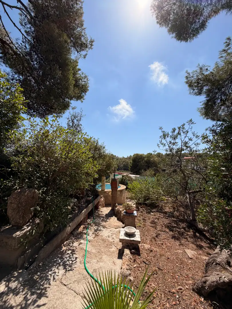 Maison avec terrasse à vendre à Camí de Terres Cavades 8, imagen 33