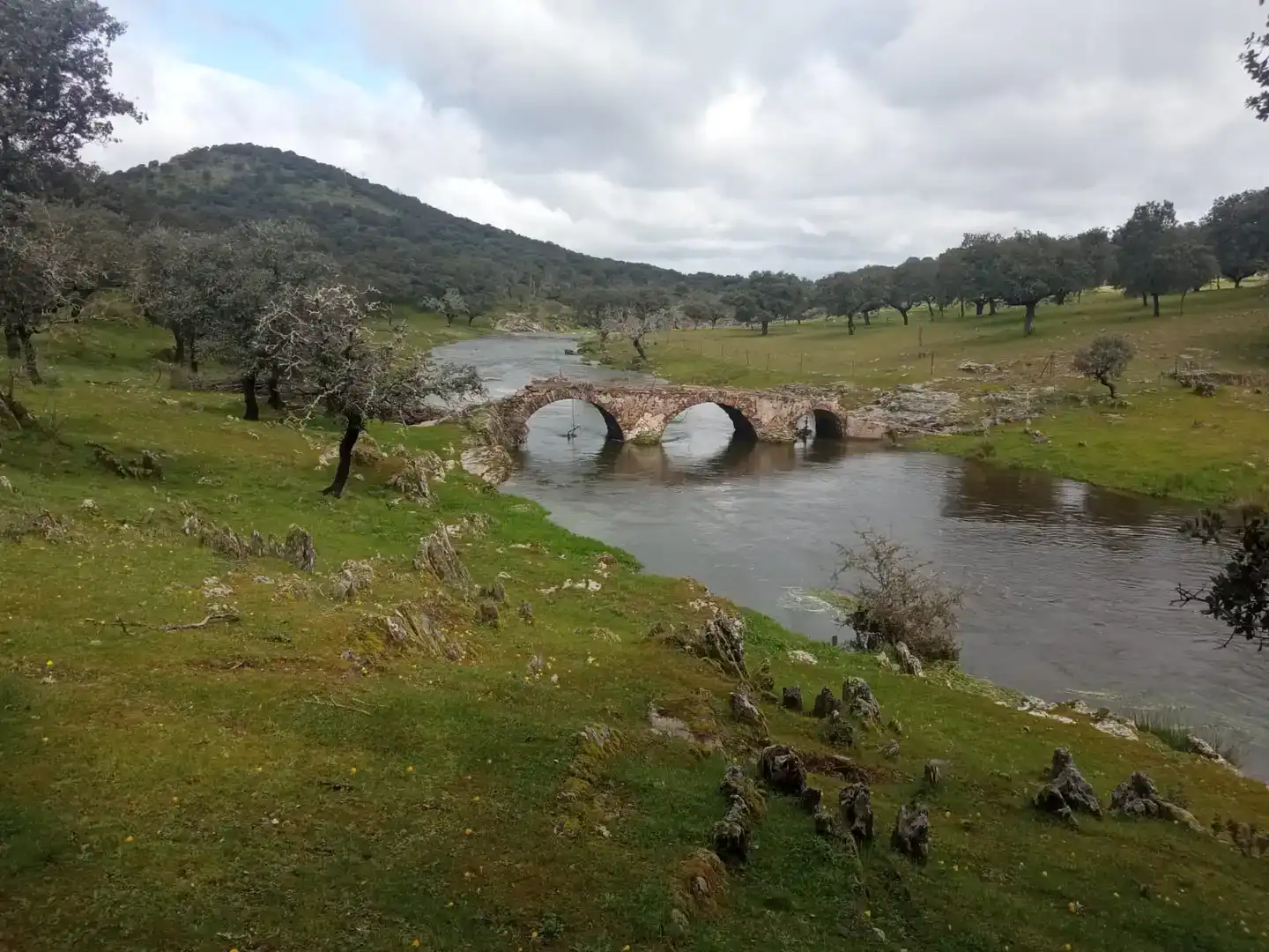 Vista exterior de Finca rústica en venta en Aldeacentenera con Jardín privado