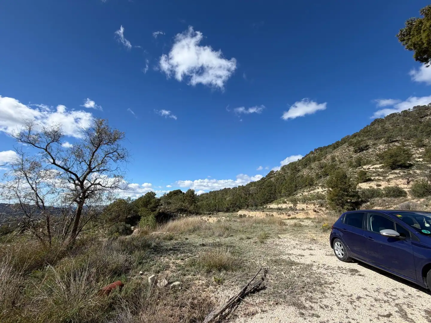 Casa o chalet en venta en Polígono 4 Paraje 139 LENTISCAR, 36, Jijona / Xixona