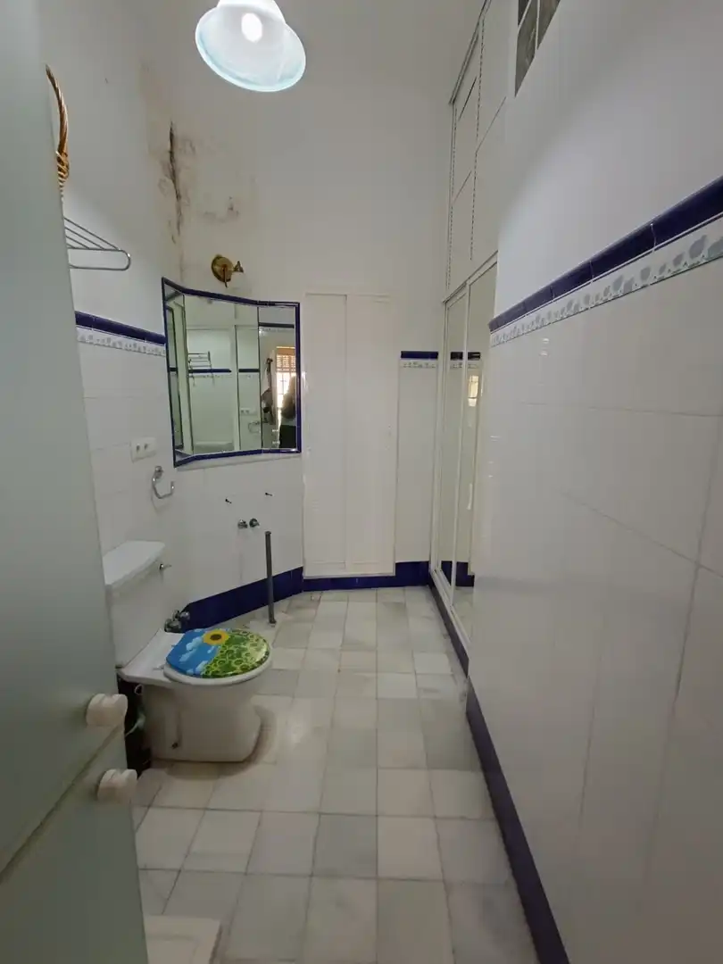 Houses for sale in El Rocío - La Milagrosa