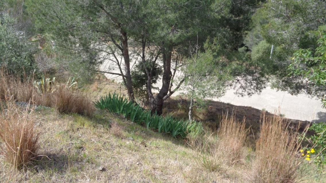 Residential for sale in Riudecanyes