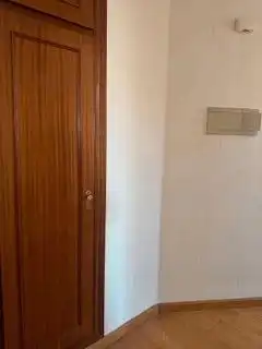 Penthouse with lift to rent in Avenida Suero de Quiñones, imagen 7