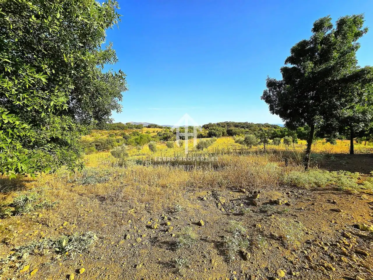 Chalet con jardín en venta en Calle Puerto los Claveles, imagen 39