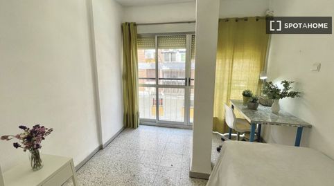 Foto 3 de Habitació a Triana Oeste, Sevilla Capital