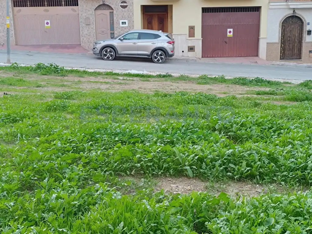 Terreni e lotti in vendita a Calle Arquillos