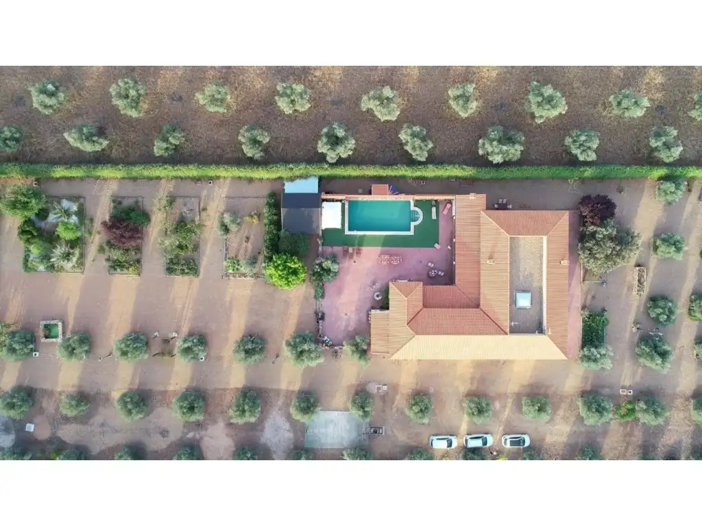 Detached house with pool for sale in Piedrabuena, imagen 7