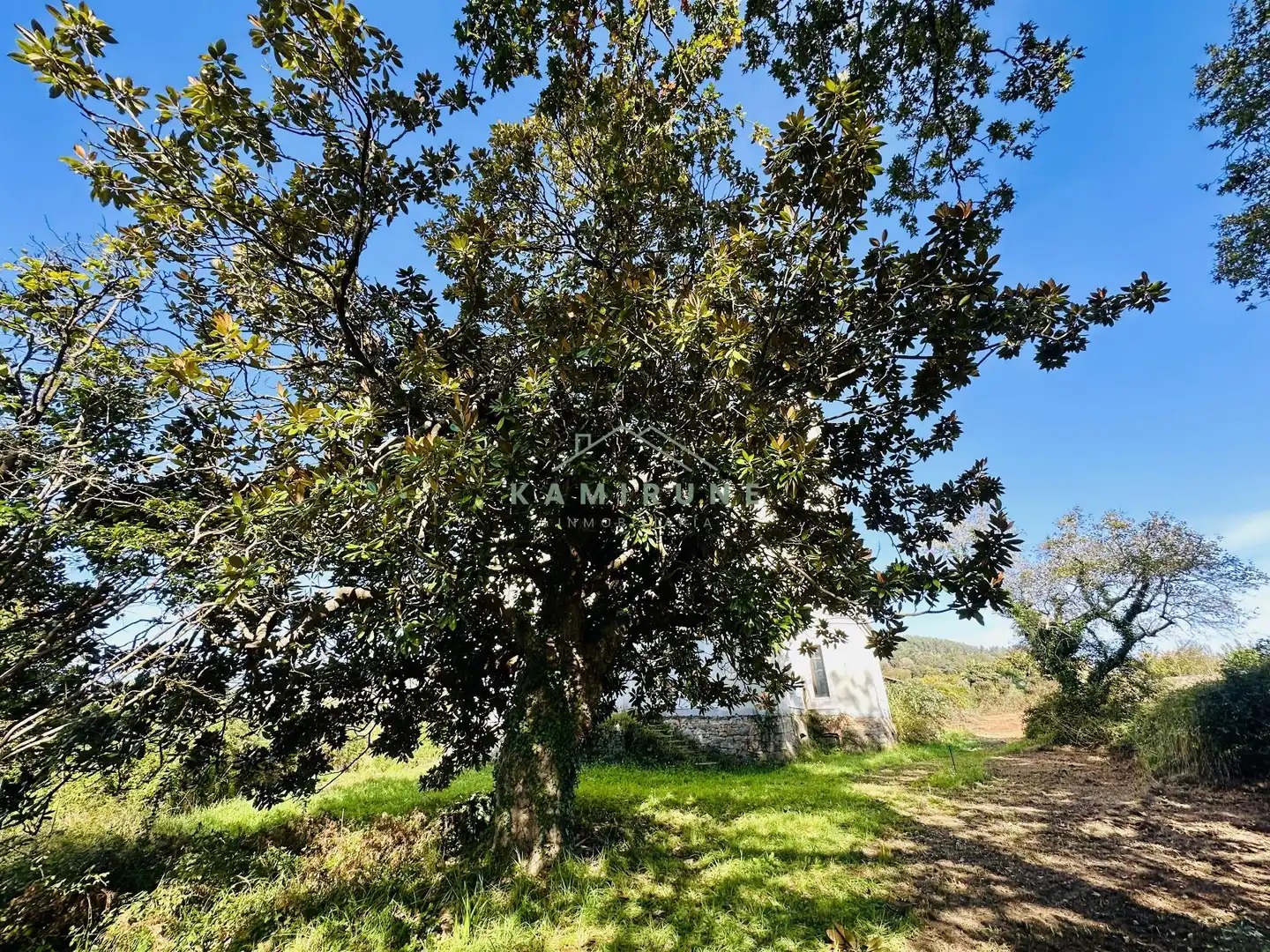 Edificio en venta en Elizalde Bidea , Mungia