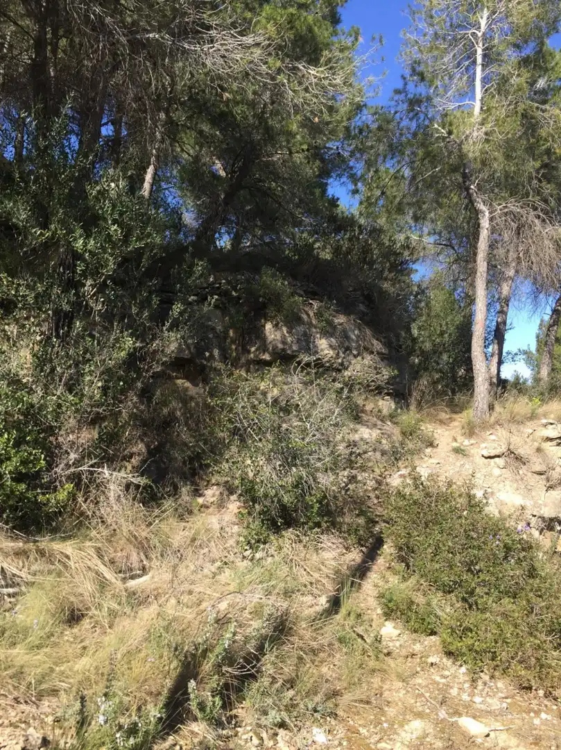 Terrenos y solares en venta en Monistrol de Montserrat, imagen 8