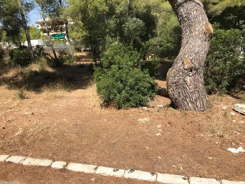 Terrenys i solars en venda a Betlem, imagen 4