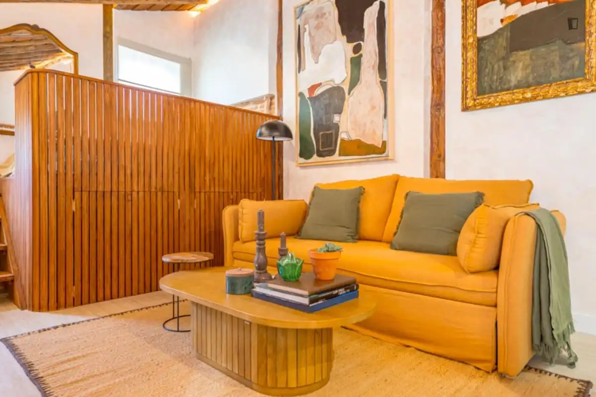 Sala d'estar de Estudi de lloguer en Madrid amb Aire condicionat, Calefacció i Moblat