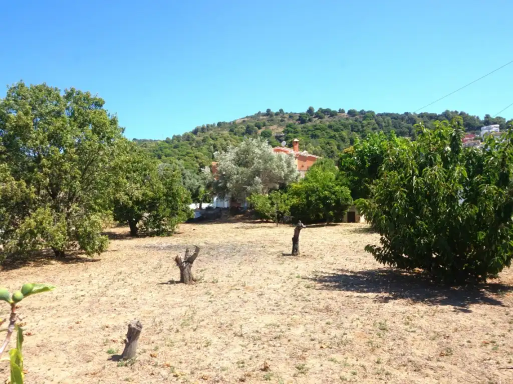 Houses for sale in Pineda de Mar