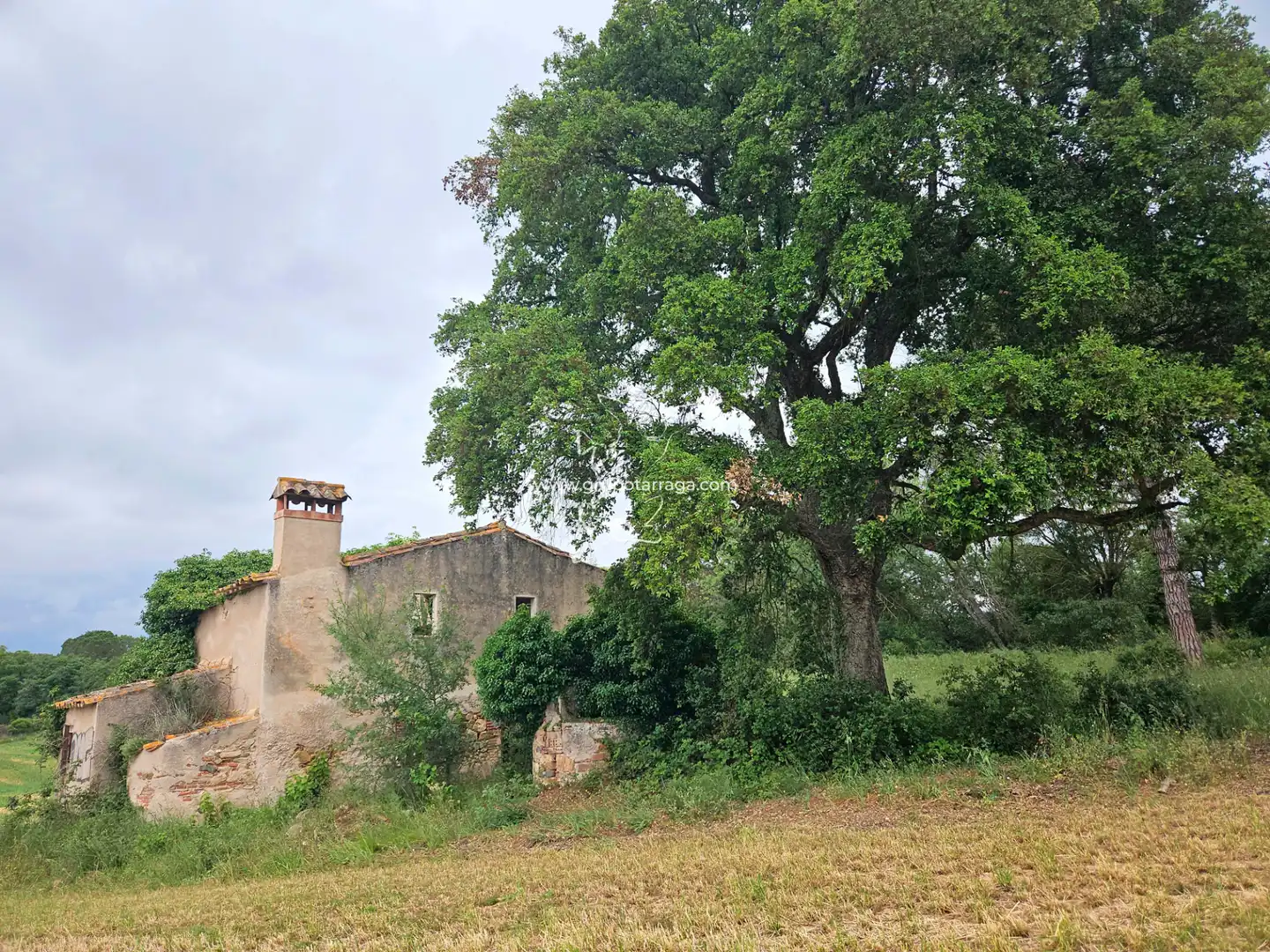 Country house zum Verkauf in Maçanet de la Selva