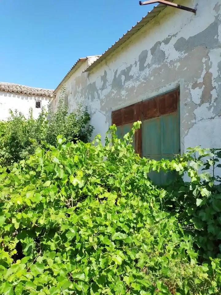 Vista exterior de Casa o chalet en venta en Villarrubio