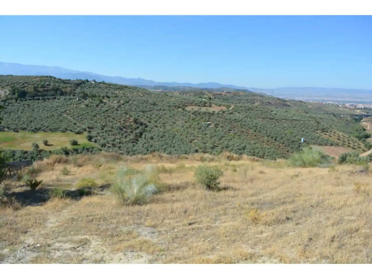 Terreny residencial en venda a Alfacar, imagen 16