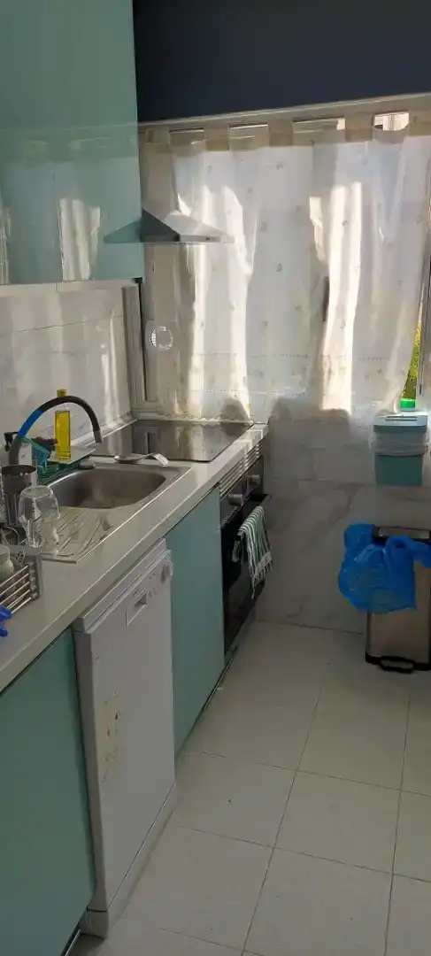 Kitchen of Flat for rent in Madrid  with Parquet flooring, Furnished and Washing machine