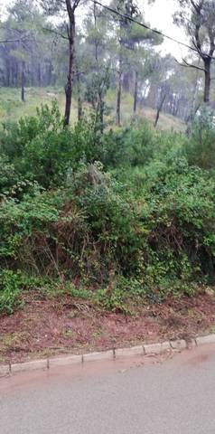 Terreno residencial en Venta en Quarta, Urb. Can Güell, 46 en Torrelles de Llobregat