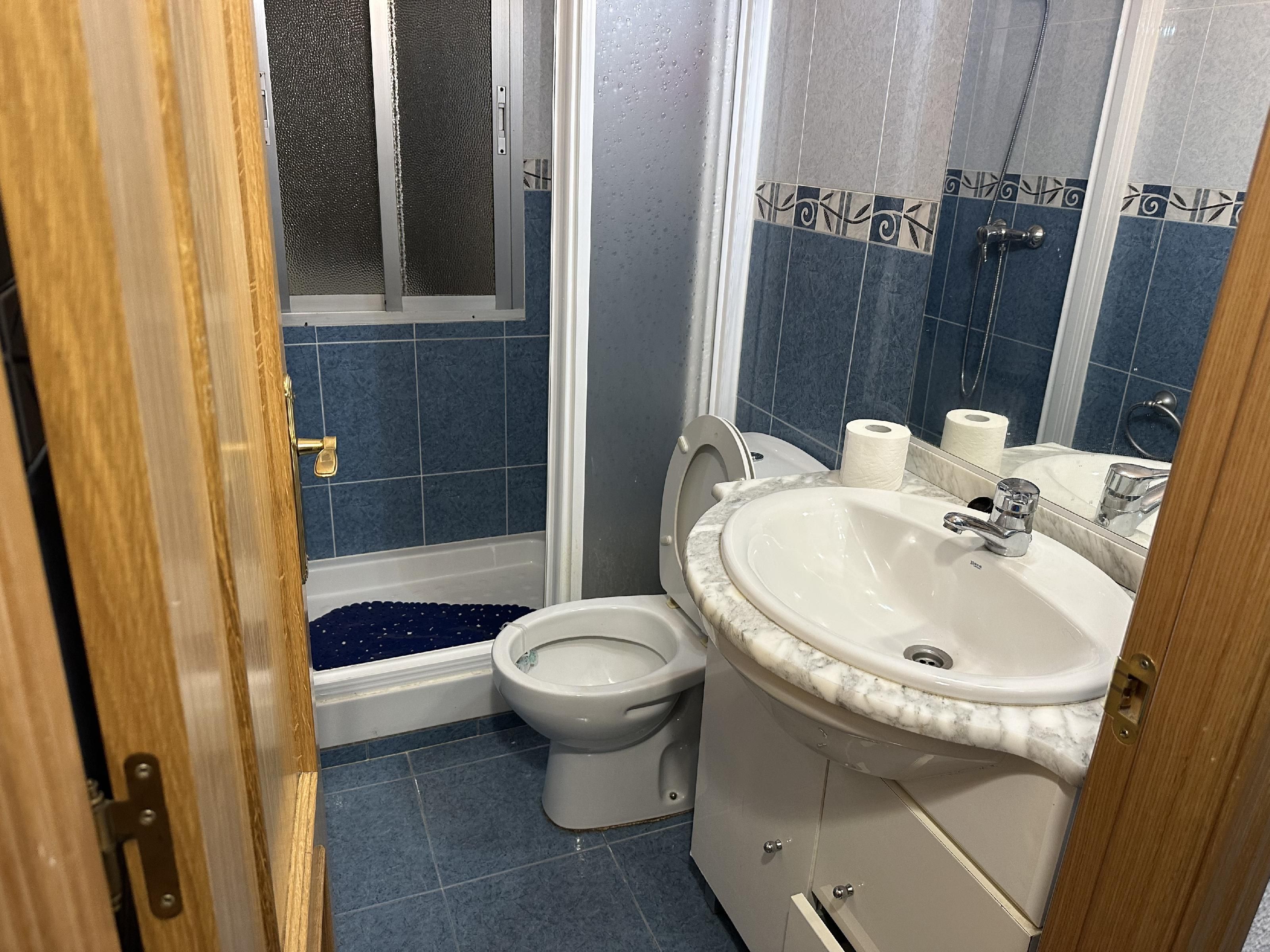 Bathroom of Flat for sale in Plasencia