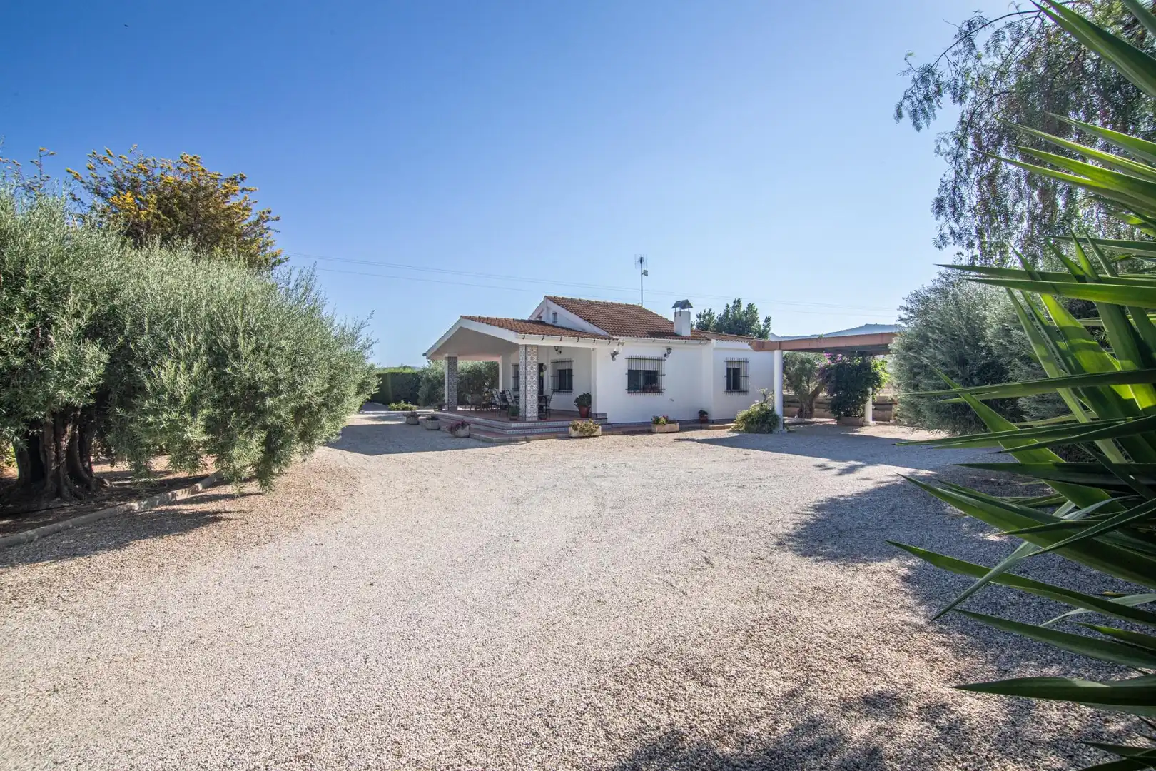 Chalet con piscina en venta en Partida HORNA BAJA 16, imagen 5