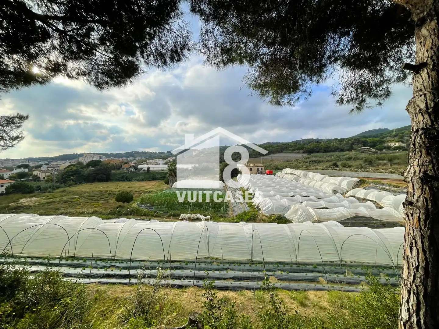 Finca rústica en venta en Canet de Mar