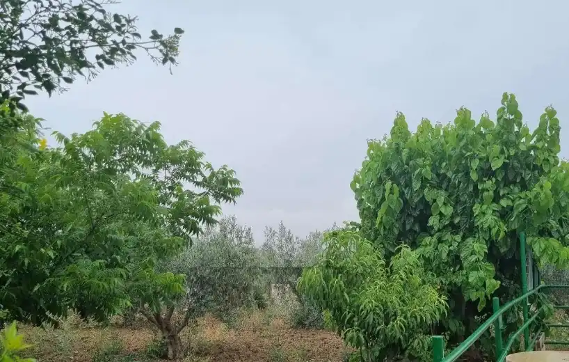 Xalet amb jardí en venda a Coín, imagen 31