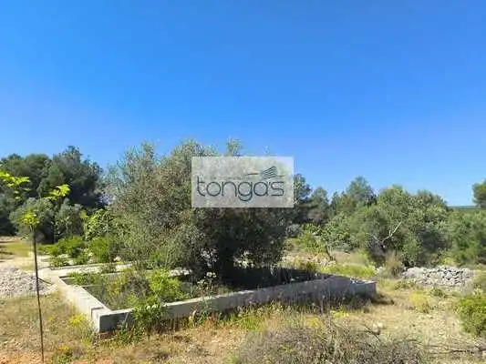 Casa o xalet en venda en Chella amb Jardí privat