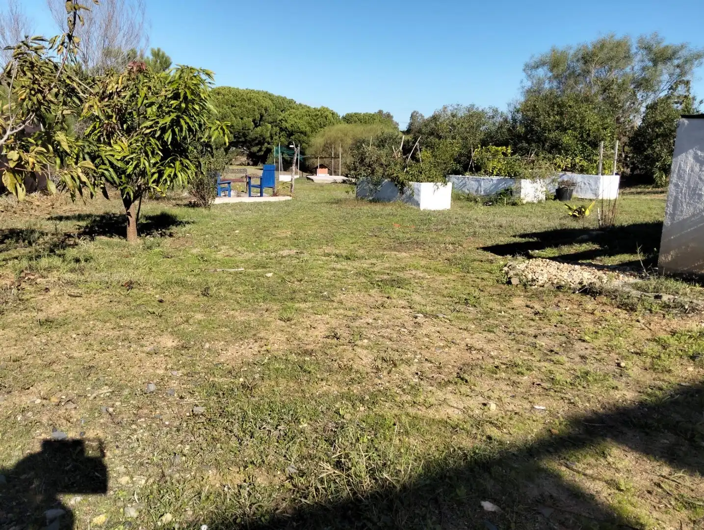 Finca rústica en venta en Lepe con Trastero y Piscina