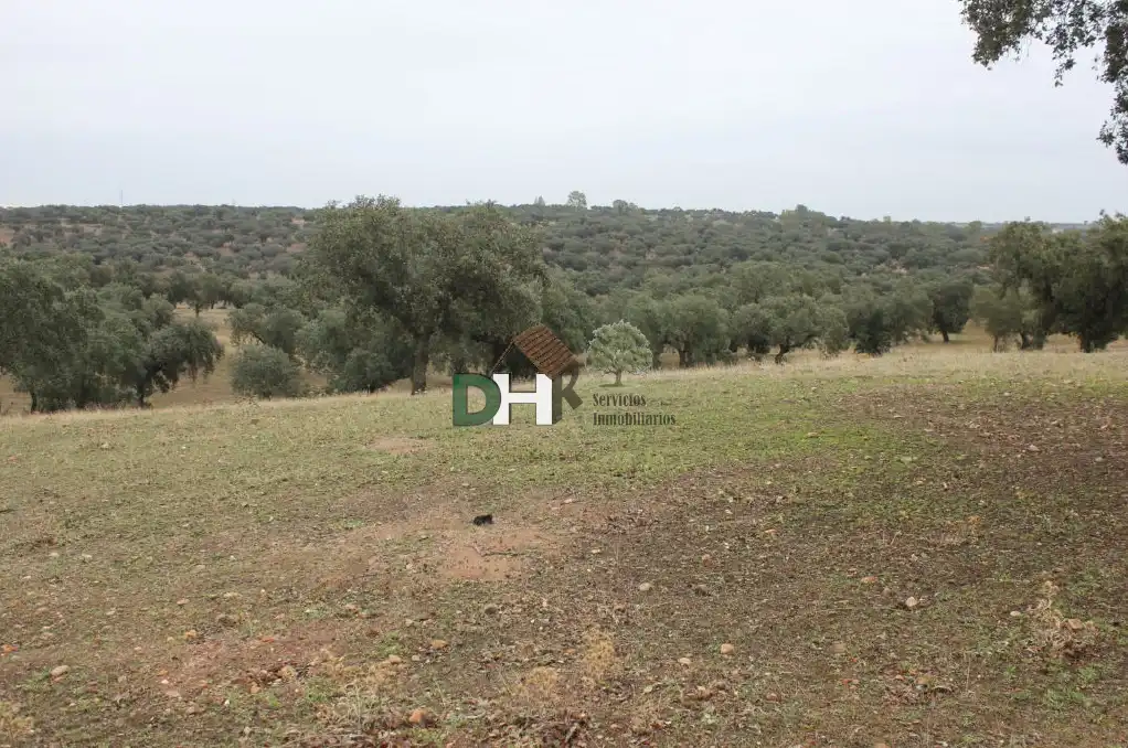 Terreni e lotti in vendita a San Roque - Ronda Norte, imagen 2