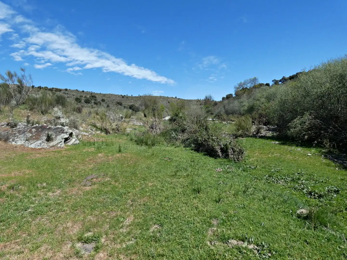 Terreny en venda en Gallegos de Argañán