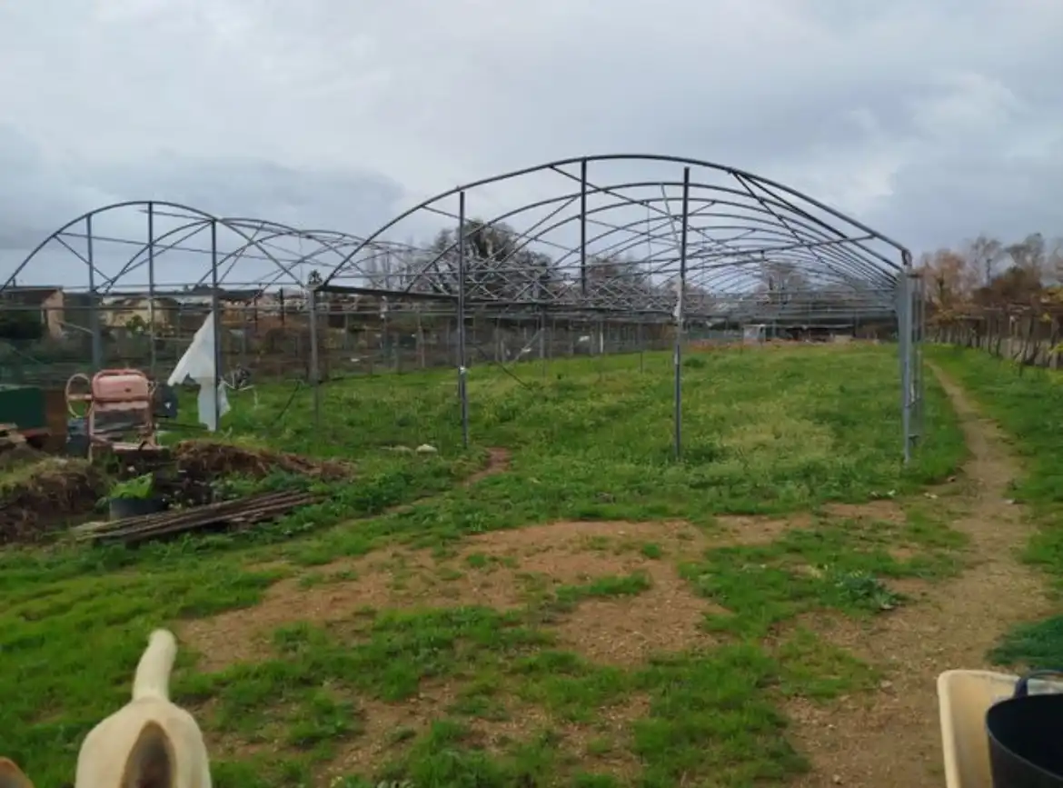 Terreno rustico in vendita a Lugar a Torre 35