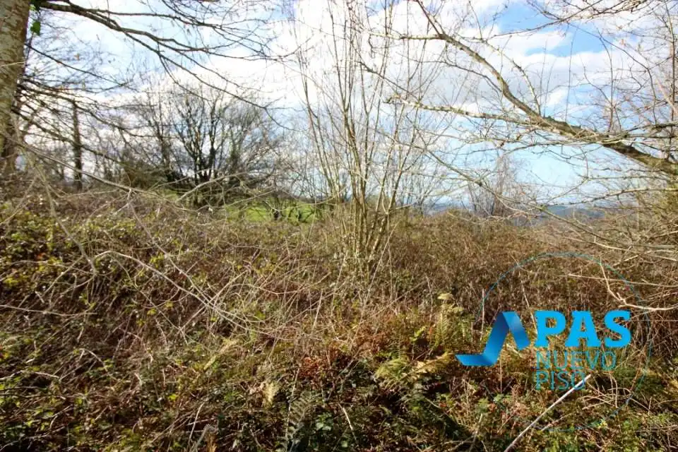 Casa o xalet en venda en Solórzano amb Jardí privat
