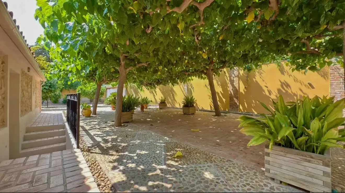 Terrassa de Casa o xalet en venda en Alicante / Alacant amb Aire condicionat, Calefacció i Jardí privat