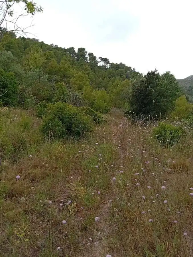 Piso en venta en Corbera d'Ebre, imagen 3
