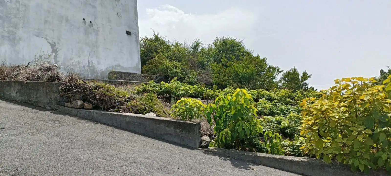 Residential zum Verkauf in Santa Úrsula