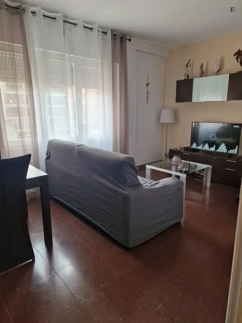 Living room of Apartments for share in Barcelona  with Furnished, Oven and Washing machine