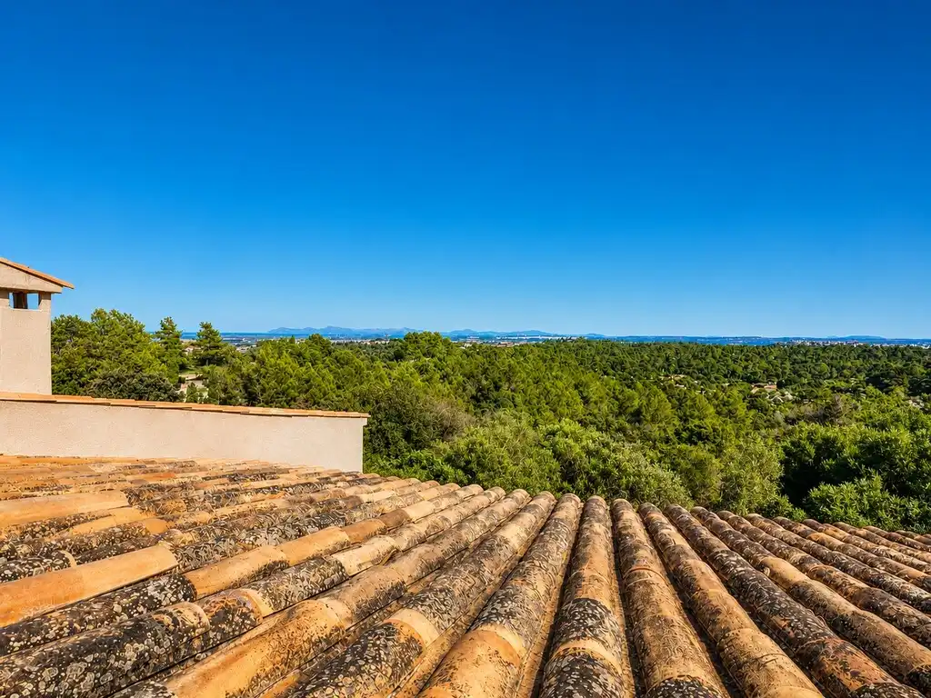 Vista exterior de Finca rústica en venta en Campanet con Aire acondicionado, Jardín privado y Terraza