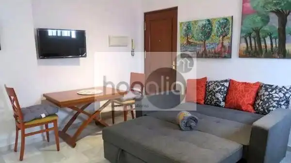 Sala d'estar de Pis de lloguer en Sevilla amb Aire condicionat i Moblat