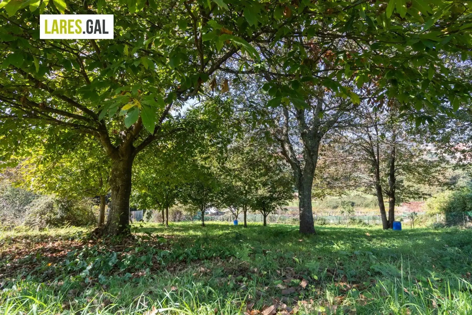 Maison à vendre à Lugar Costeira, imagen 22