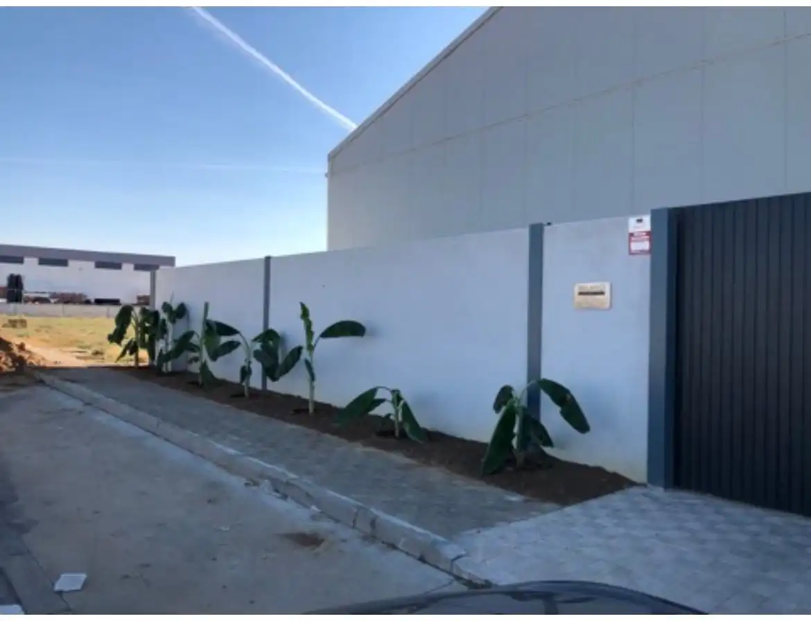 Nau industrial en venda a Calle BALEARES