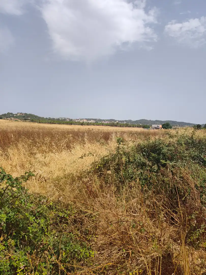 Grundstücke zum Verkauf in Sant Joan