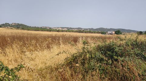 Finca rústica con dos pozos escriturados en Sant Joan, immagine 4