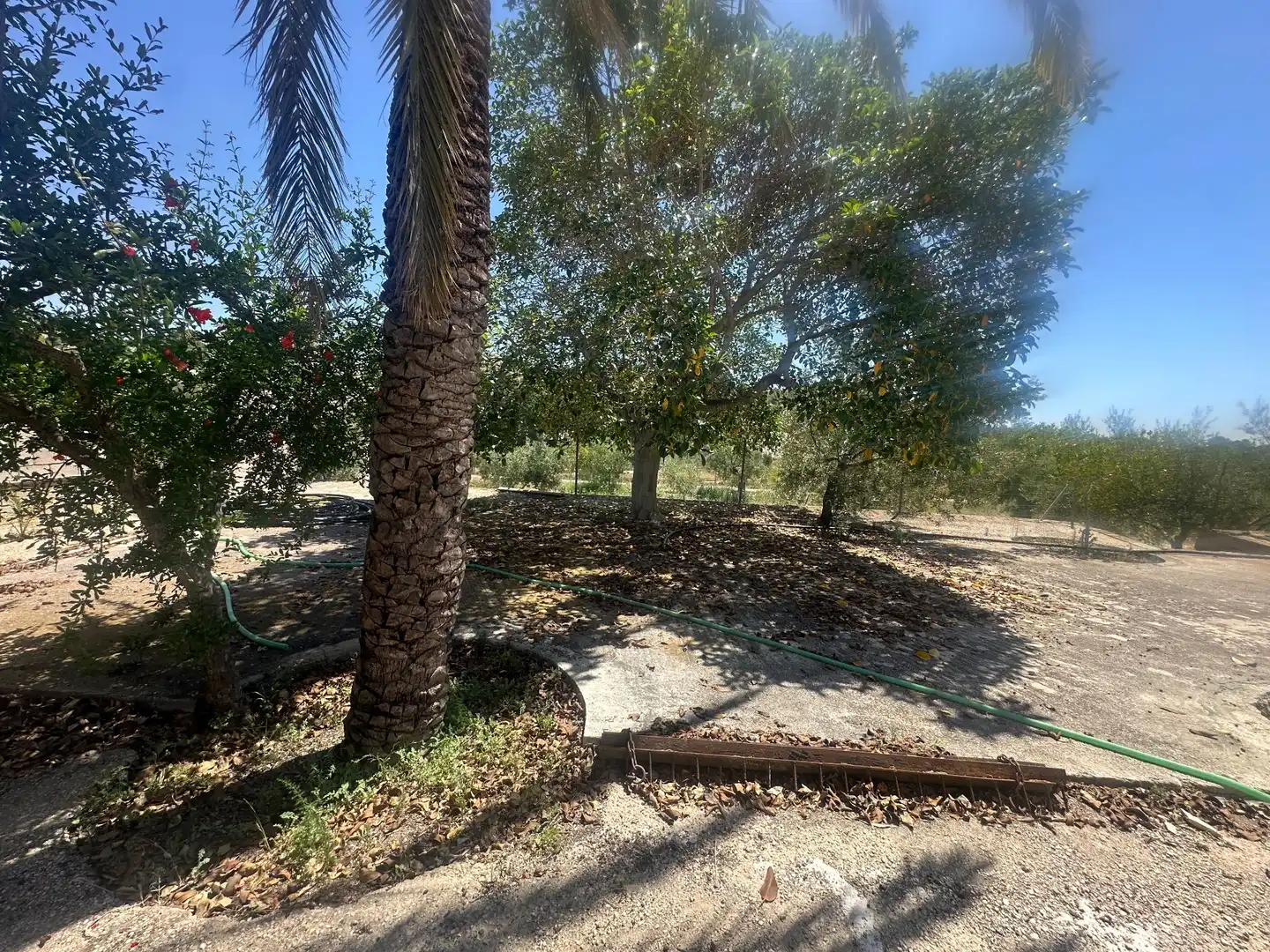 Terreno en venta en Alicante / Alacant