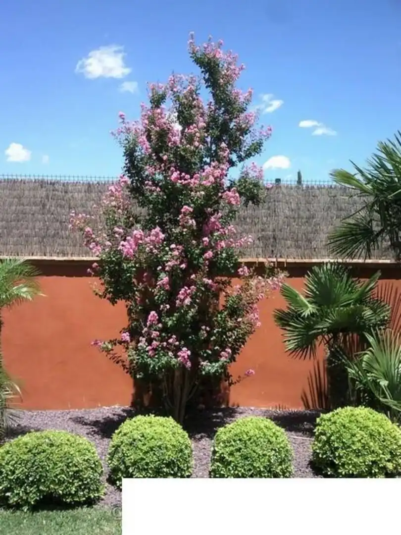 Jardín de Casa o chalet en venta en Bormujos con Aire acondicionado, Jardín privado y Terraza