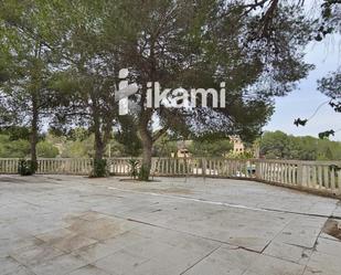 Garden of Land for sale in Pilar de la Horadada