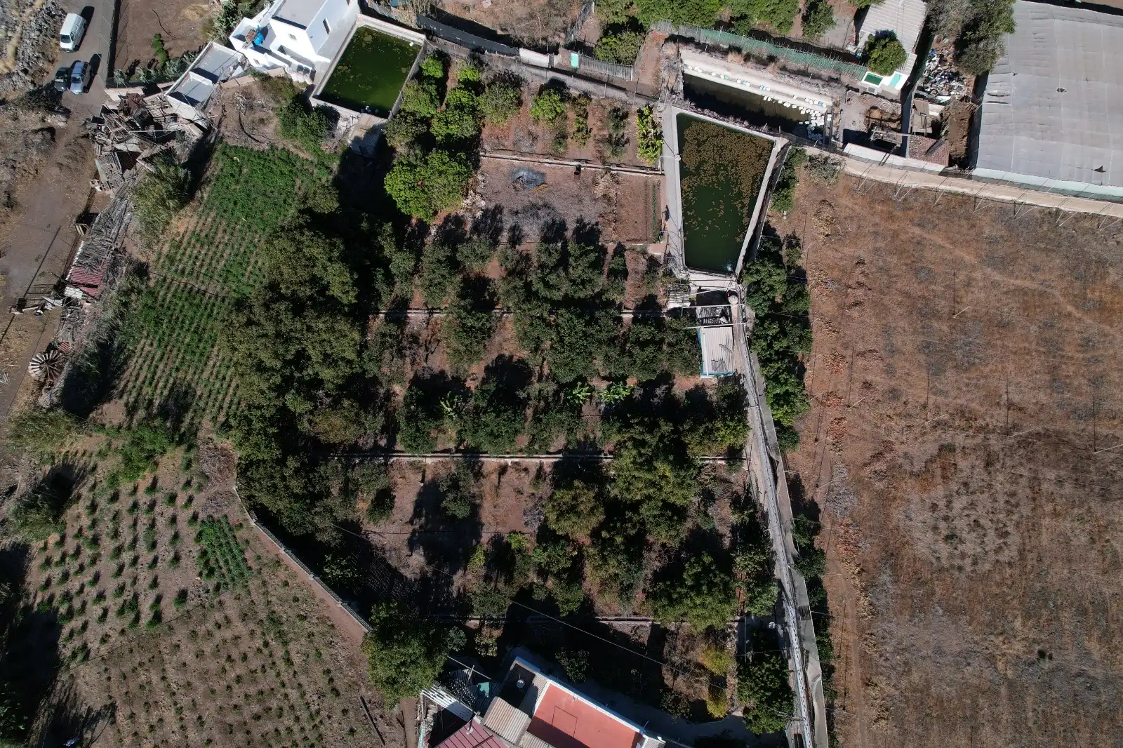 Casa rústica con jardín en venta en La Aldea de San Nicolás, imagen 4