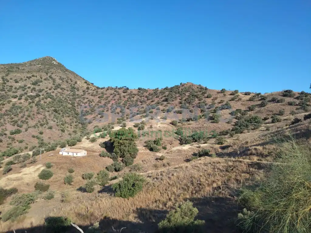 Terreno residencial en venta en Este, imagen 21