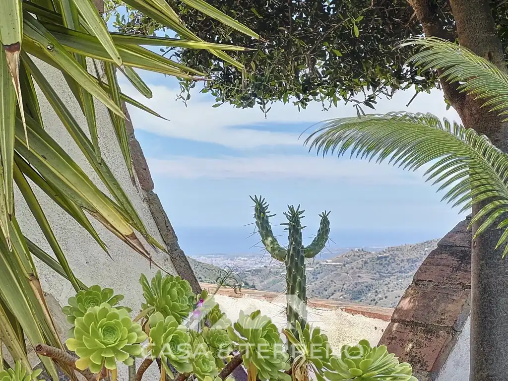 Villa mit Pool zum Verkauf in Diseminados Cuesta Secano, imagen 49