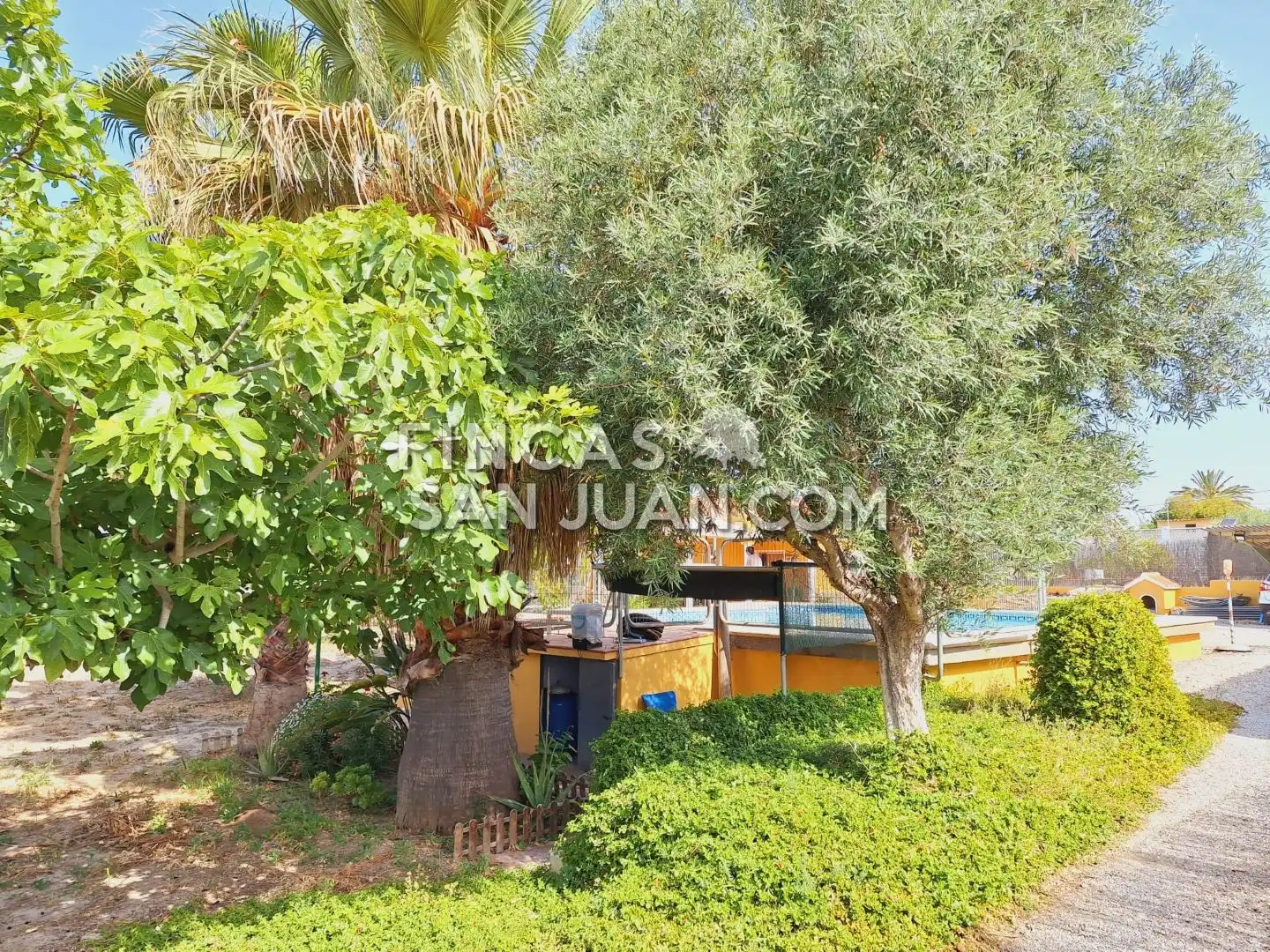 Jardí de Casa o xalet en venda en Alicante / Alacant amb Terrassa i Piscina
