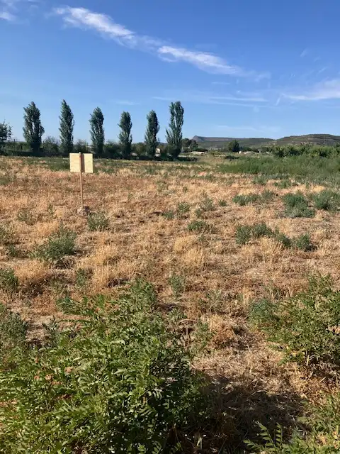 Terreni e lotti in vendita a Fraga, imagen 3